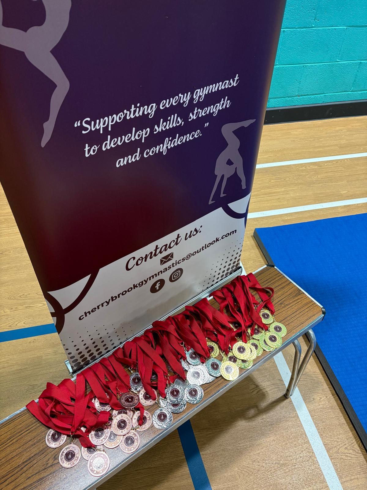 Cherrybrook Gymnastics Academy competition day photo 5